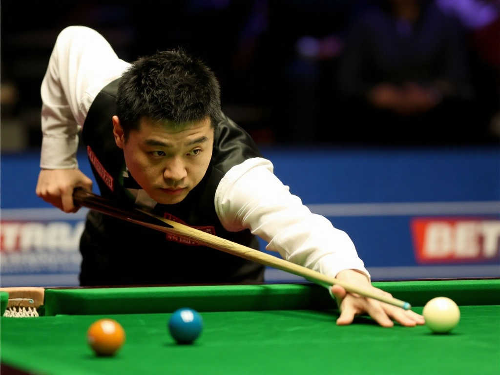 他们可能会 他们可能会